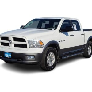 2010 Dodge Ram 1500